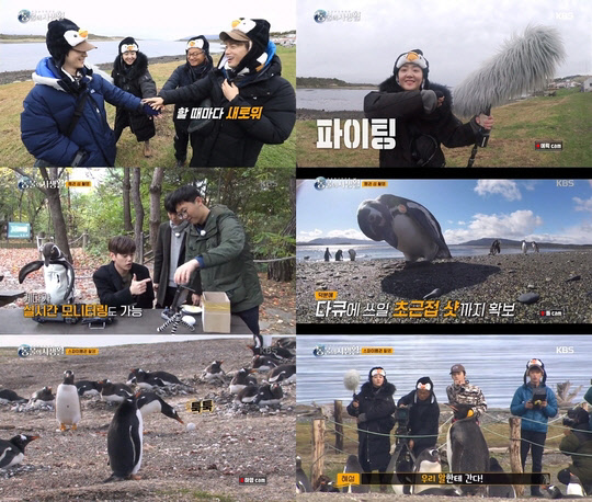 문근영 펭귄 [KBS2 '은밀하고 위대한 동물의 사생활']